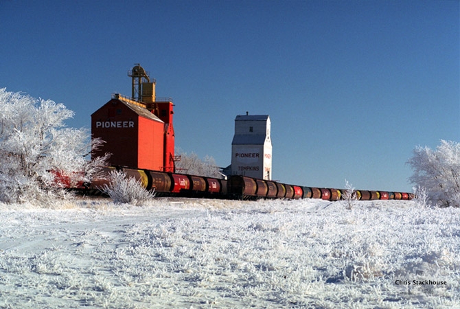 Wooden grain elevators at Tompkins, Saskatchewan. "The Necklace"