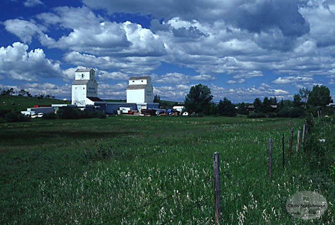 Photograph of wooden elevators at Dewinton, AB