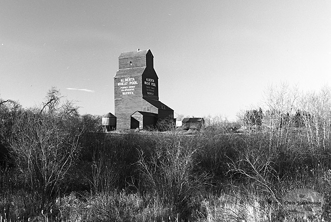 Image of wooden grain elevator at Warwick, Alberta